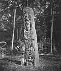 Stele F (Nordseite) im Jahre 1893. Aufgenommen und beschrieben von einem der Gründerväter moderner Mayaarchäologie, Alfred Percival Maudslay.