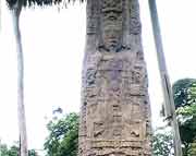 Stele F aus Quirigua (761 AD) mit dem 14. Herrscher Cauac Sky. Mit einer Höhe von 7,20 m ist sie die zweithöchste Stele Quiriguas, sie wird nur noch von Stele E (7,60 m ) übertroffen.