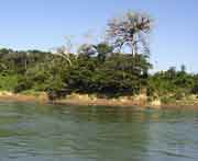 Der Rio Usumacinta vom Boot aus